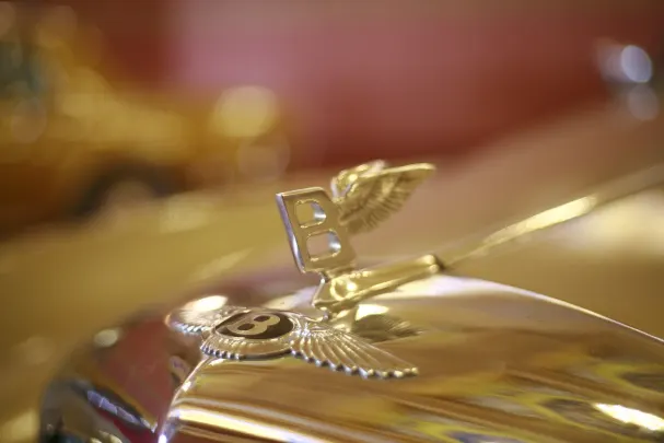 カジノ ベット ウィナー Android/iOS アプリ